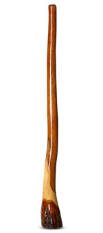 Ironbark Didgeridoo (IB153)